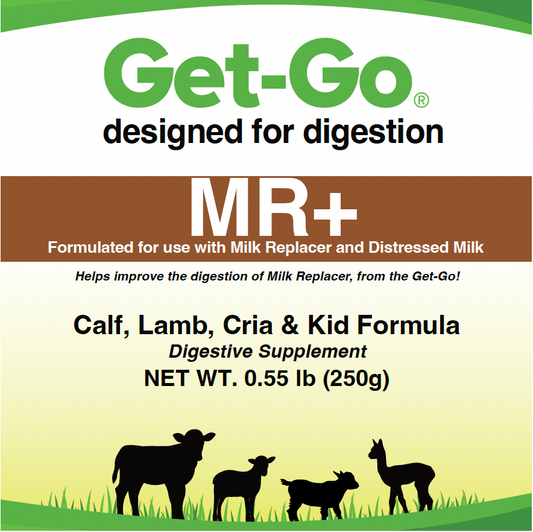 Get-Go MR+
