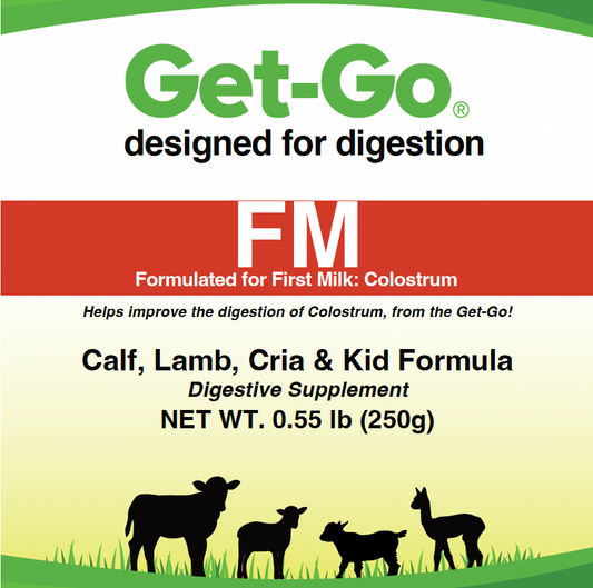 Get-Go FM