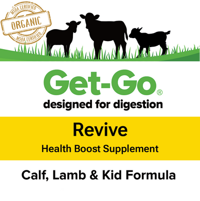 Organic Get-Go Revive