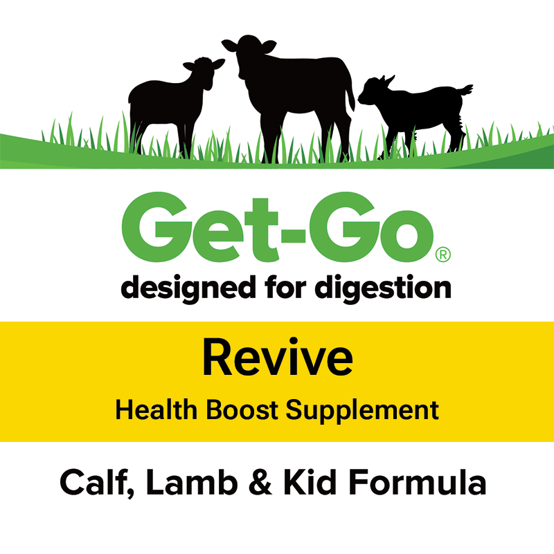 Revive Front Label